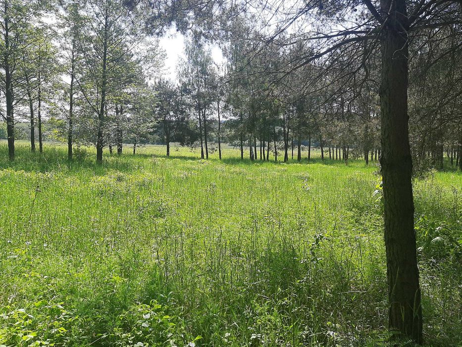 Działki budowlane Wancerzów k/Mstowa