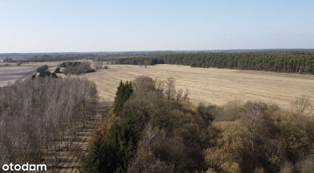 Na sprzedaż grunt inwestycyjny 14,73 ha złoże kruszywa, duży potencjał