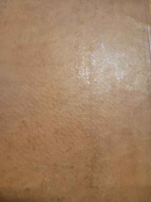 Tratado da Capacidade Civil, do Doutor José Tavares