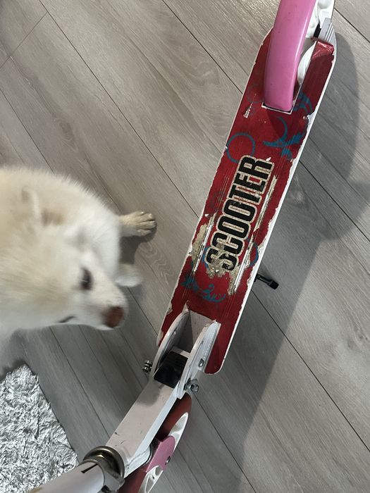 Самокат дитячий / підлітковий від 5-ти років.