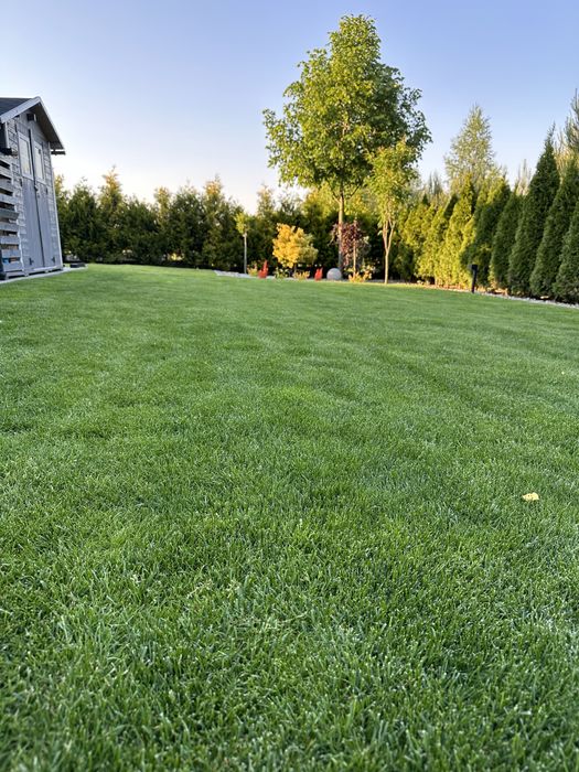 Zakładanie i pielęgnacja ogrodów