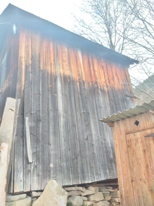 Стара дошка Вигорівша на сонці