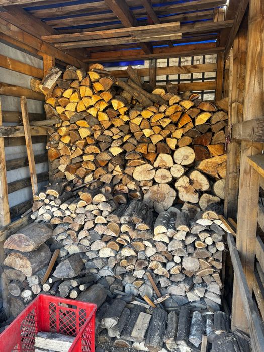 Drewno owocowe do wędzenia / drewno wędzarnicze 10 KG