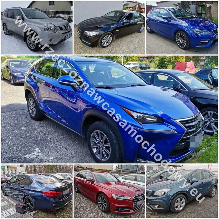 RZECZOZNAWCA SAMOCHODOWY Wycena Pojazdu, Kosztorys Naprawy, Oględziny