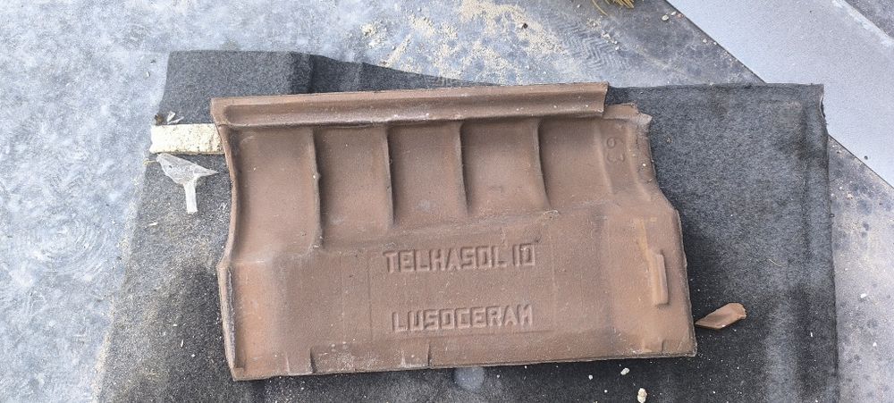 Telhasol 10 Castanha