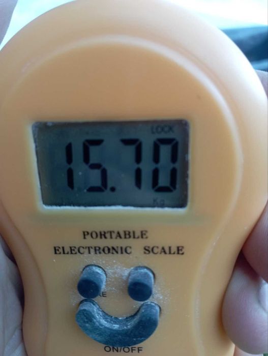 Сіно Люцерни в Тюках