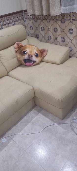 Sofá chaise-long , tem 2,50cm  em Neobook . Pouco uso.