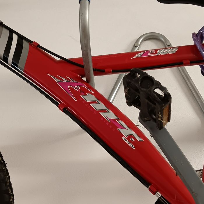 Bicicleta de senhora