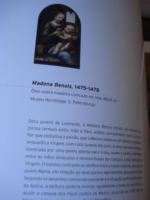 Leonardo da Vinci431473435146997761