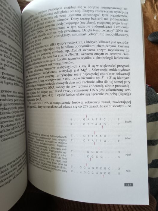 Genetyka molekularna UP