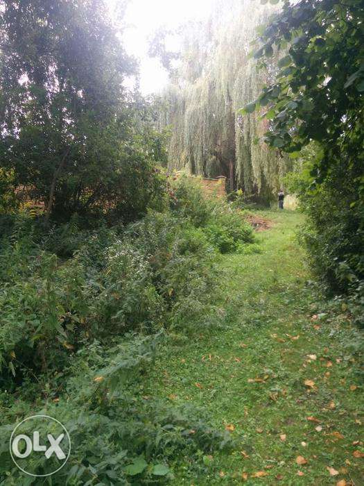 Земля в лісі на березі озера, 0,17га. Власник.