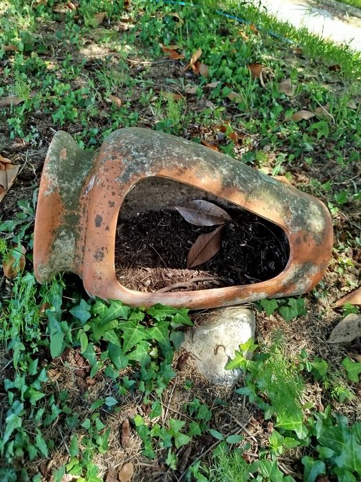 Vasos e decoração de Jardim