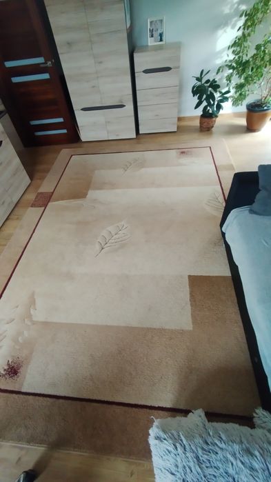 Duży dywan 250x350cm beżowy
