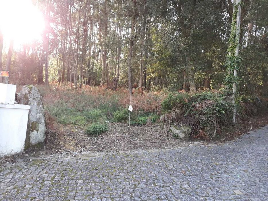 Terreno Urbanizável com PIP aprovado
