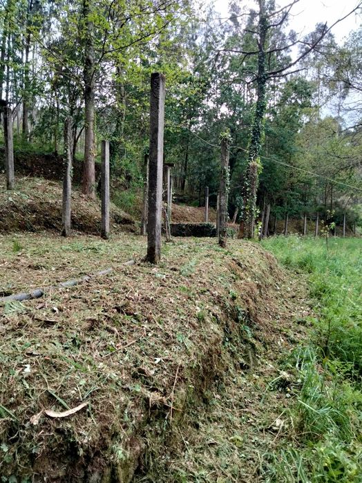 Limpezas de terrenos