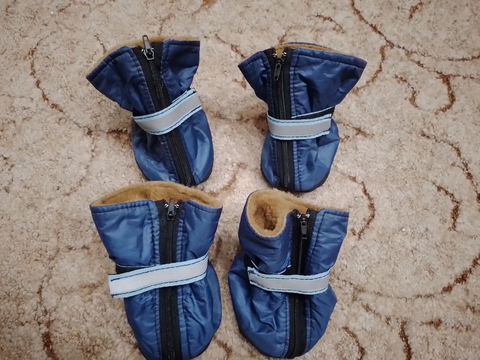 Ботінки для собаки