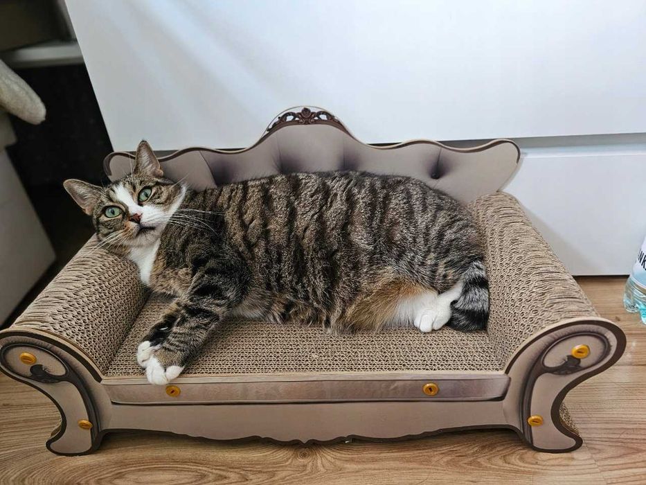 Drapak sofa dla kota legowisko kanapa do drapania zwierzęta kot