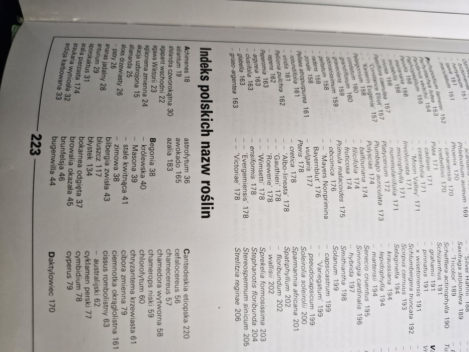 Poradnik -rośliny doniczkowe