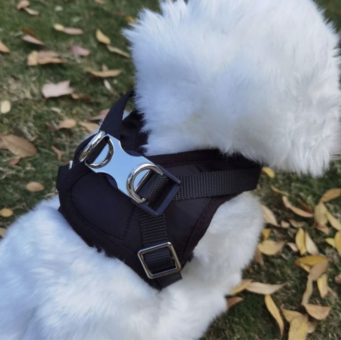 Nowy komplet: szelki bezuciskowe + smycz 2XL