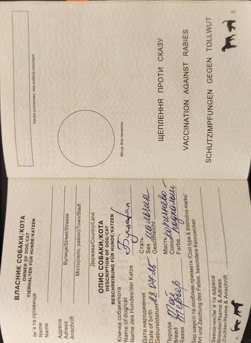 Щенок той-терьера (миник)