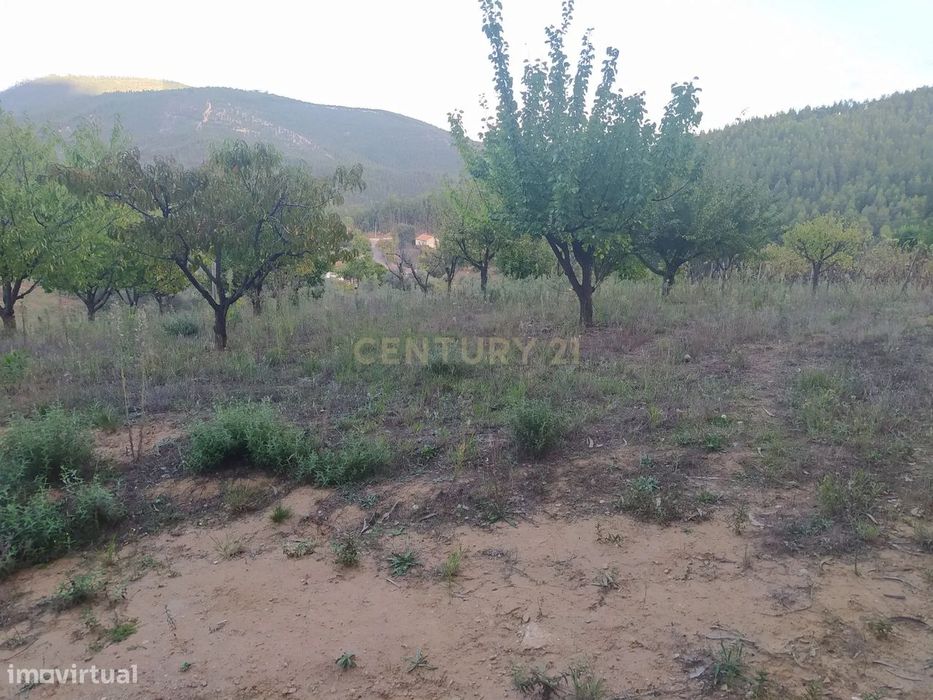 Terreno de 1 HECTARE - Ferreira do Zezere — Ferreira do Zêzere, Santarém