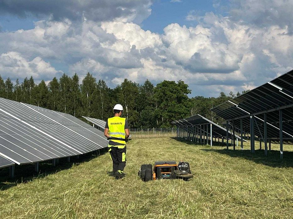 Wzrost produkcji energii na farmach fotowoltaicznych - koszenie Raymo