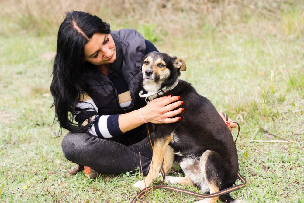 3 letni Miki szuka domu!