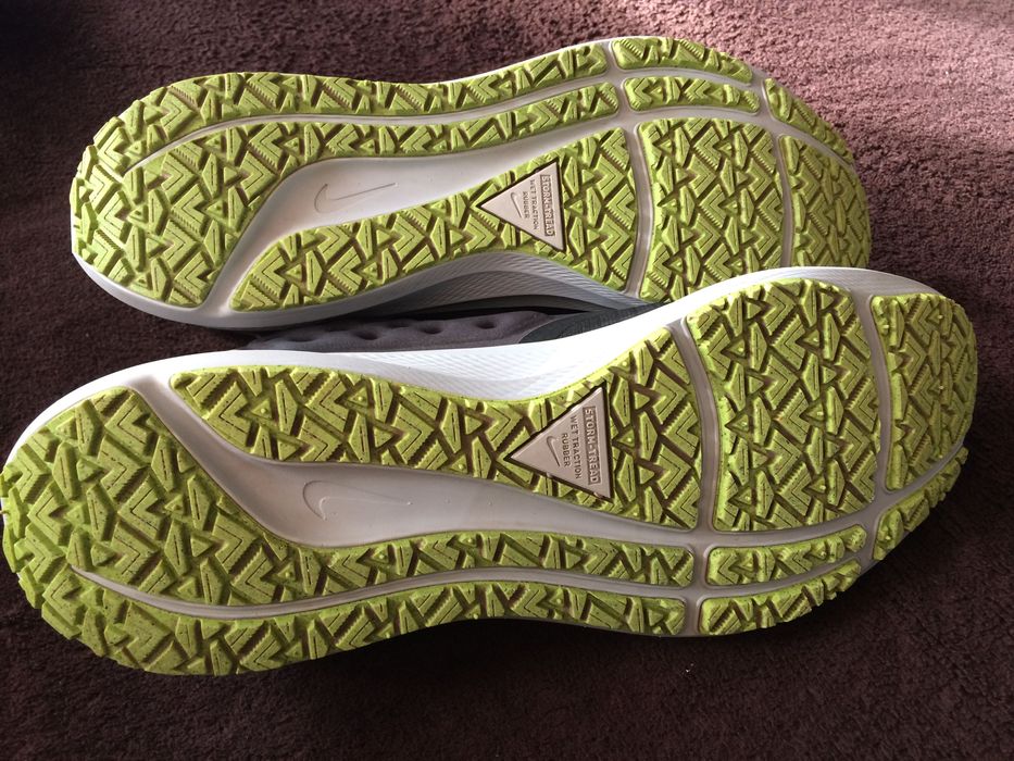 Nike Pegasus 39 Shield