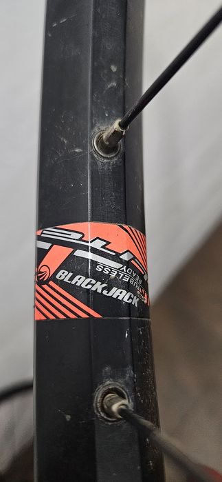 Rodas 29 Lite c/Discos