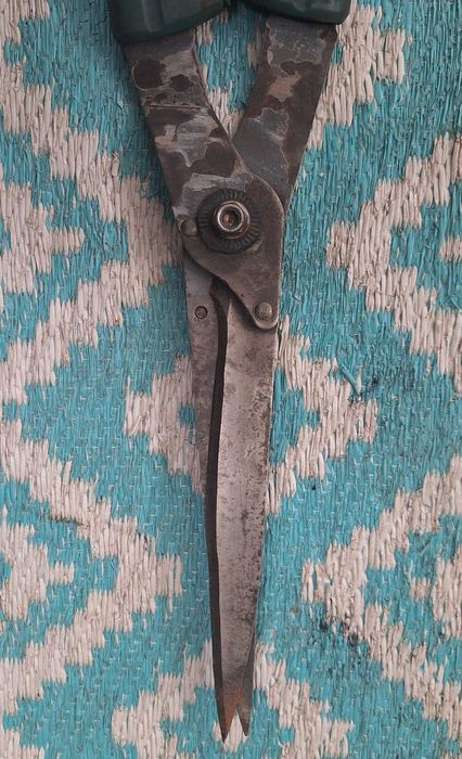 Stare Nożyce do przycinania żywopłotu itp WYSYŁAM Olx