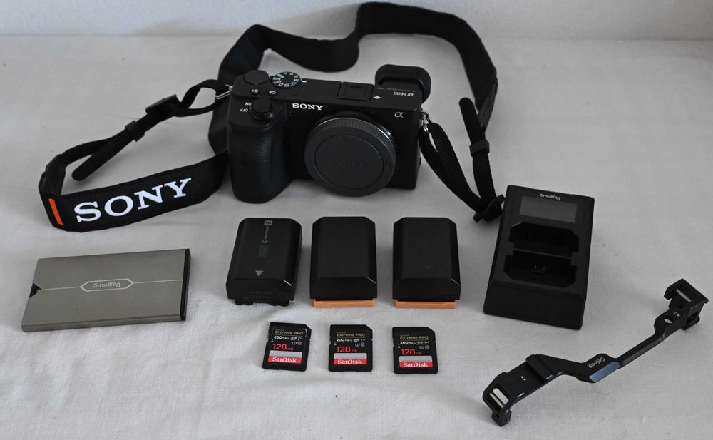 Sony Alpha a6600