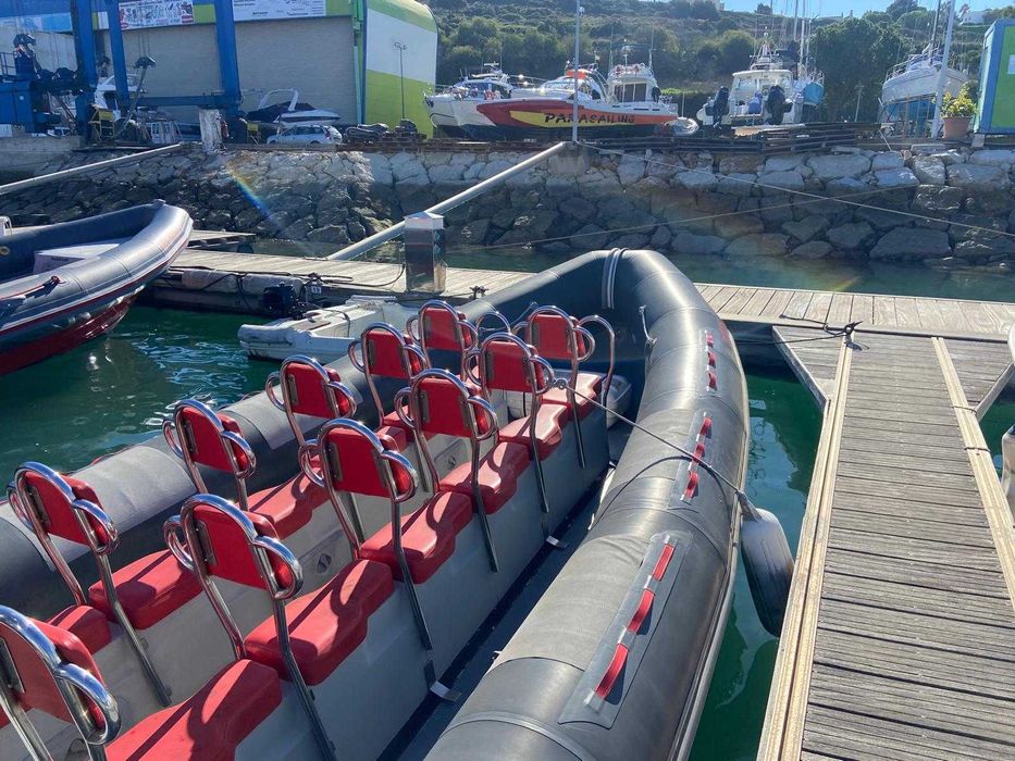 Semi-Rígido Narwhal