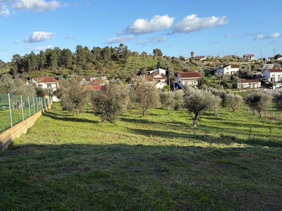 TERRENO URBANO COM 1.180 M² | MOURISCAS, ABRANTES