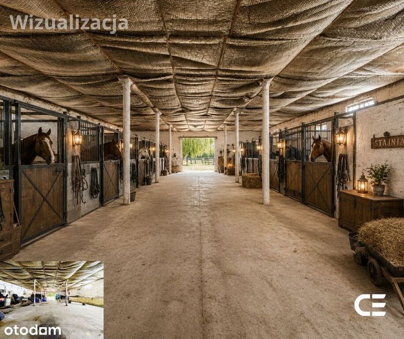 Siedlisko 2,3 ha | zabudowania | cisza | Zbytowa
