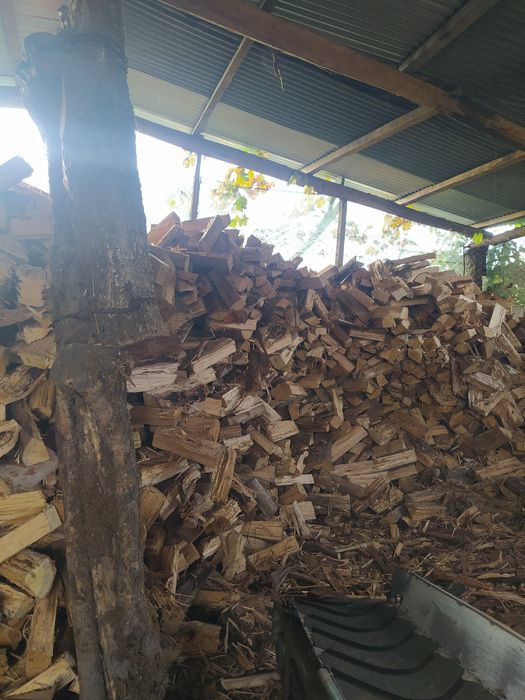 Lenha seca de carvalho e eucalipto.Milho miúdo