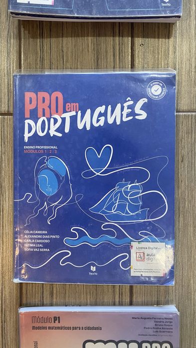 Manual de português 10 ano, curso profissional