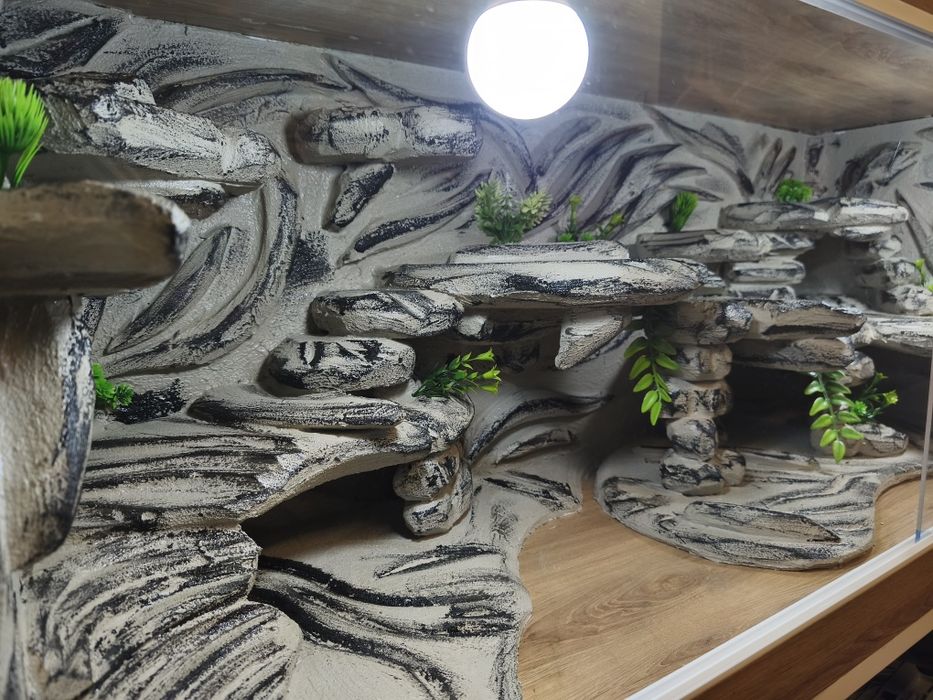Terrarium agama gekon jaszczurka WYSYŁKA