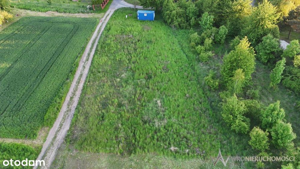 Działka 0,117ha / Wińsko / Pozwolenie na budowę - Widok 3