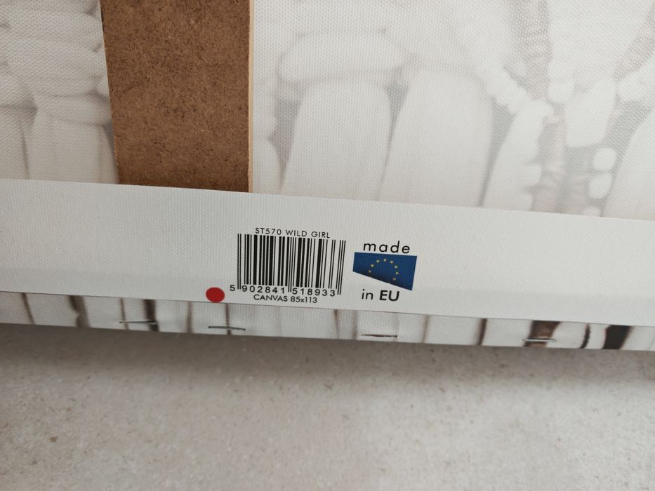 Obraz Canvas Płutno Castorama Indianka Boho