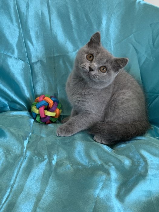 Хлопчики в плюшевих шубках !