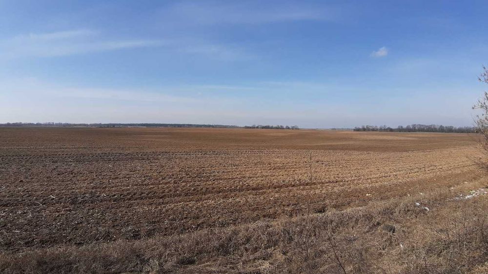 Земельна ділянка під ОСГ пл. 2,0 га с. Сеньківка Бориспільський р-н