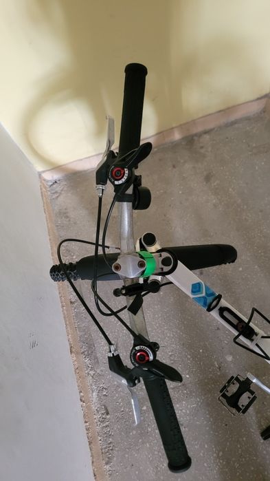 Rower giant 24''