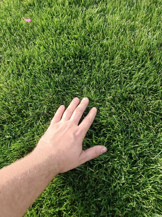 Ogrodnik Usługi ogrodnicze wertykulacja aeracja  oprysk rębak