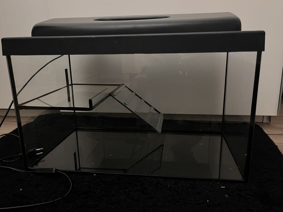 Akwarium dla zołw i ryb