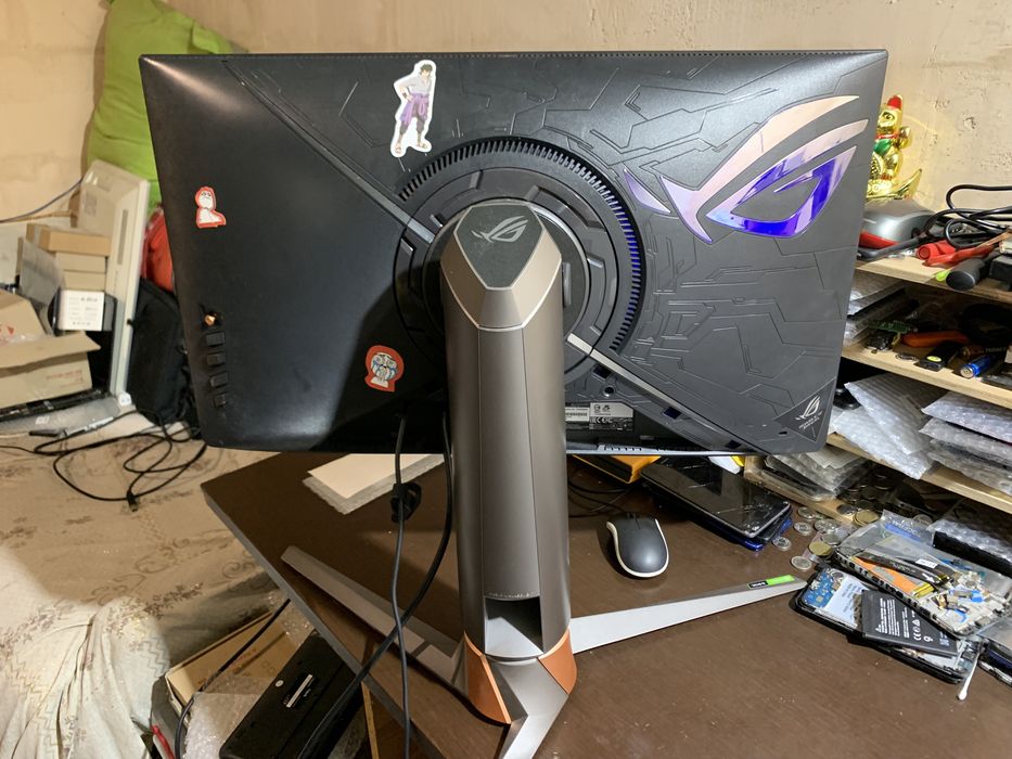 ASUS PG259QNR битая матрица