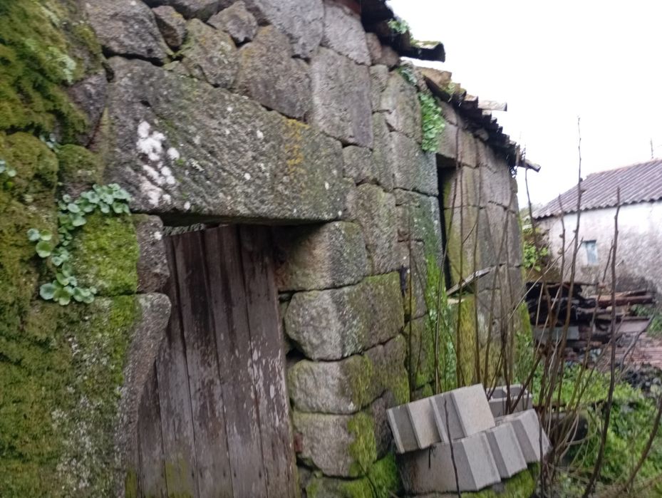 Casa em Pedra para Recuperar com água e luz