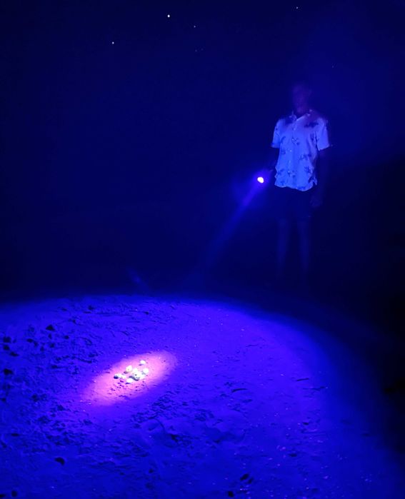 Zestaw PRO - latarka UV na bursztyn