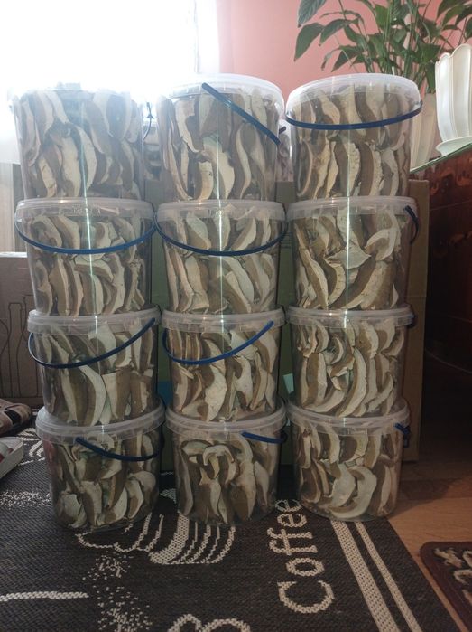 Грибы белые сушеные без песка Закарпатье