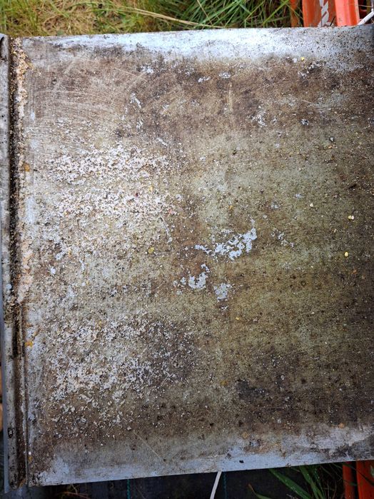 Ácaro da Varroa - Tiras Ácido Oxálico