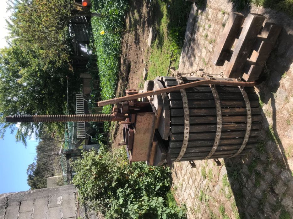 Prensa de uvas antiga